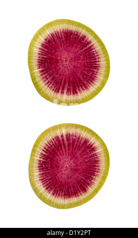 Watermelon Radish Slice isolated on white. Stock Photo