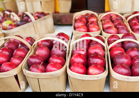Apples in baskets at a farmers market, Eastern Townships, Quebec, Canada Stock Photo