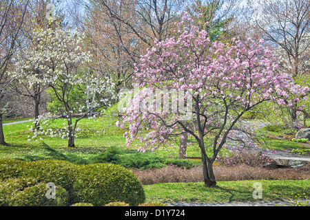 View of spring foliage and flowers in the Montreal Botanical Gardens in Montreal, Quebec, Canada. Stock Photo
