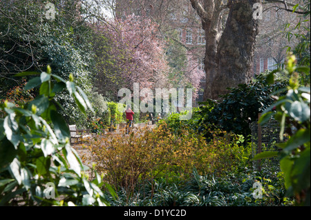 Cadogan Square, Knightsbridge, London Stock Photo - Alamy