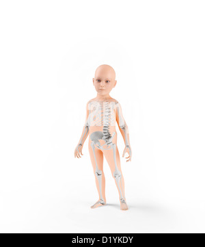 Children anatomy with visible skeleton Stock Photo