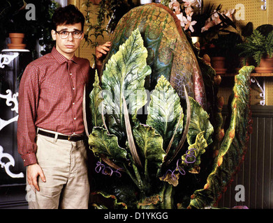 Der Kleine Horrorladen  Little Shop Horrors  Rick Moranis Seymour Krelborn (Rick Moranis) findet in einem Blumenladen eine Stock Photo