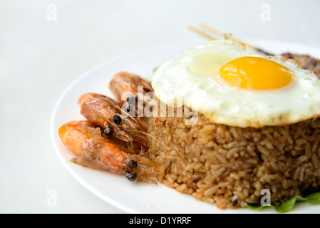 A close up shot of Indonesian Fried Rice “Nasi Goreng” dish with white seamless background. Stock Photo