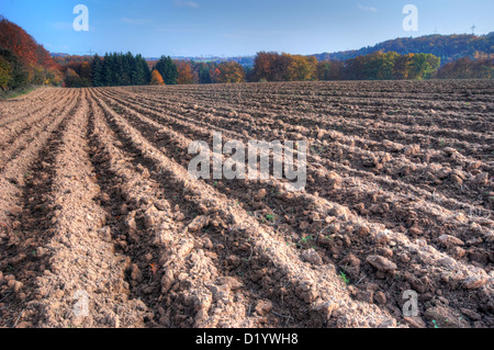 A ploughed field in Germany at autumn Stock Photo