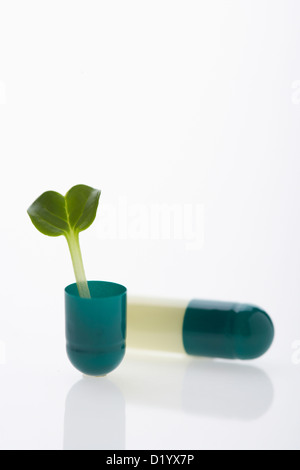 a sprout growing from an opened pill Stock Photo