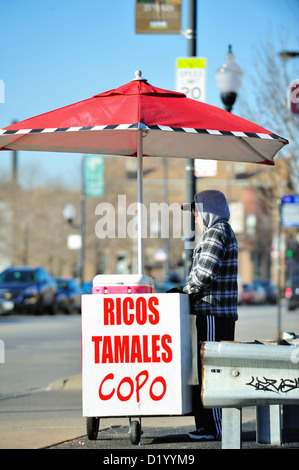 USA Illinois Chicago street vendor specializing in tamales and other Mexican food items Pilsen neighborhood. Chicago, Illinois, USA. Stock Photo