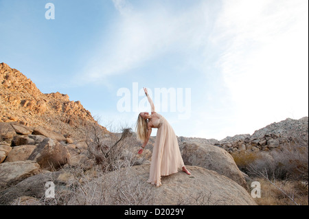 Beautiful woman in a formal gown expressing expansiveness in a wide opne desert landscape. Stock Photo