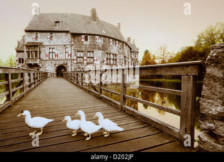 Geese on the bridge in front of Vischering moated castle, Luedinghausen, Muensterland, North Rhine-Westphalia, Germany, Europe Stock Photo