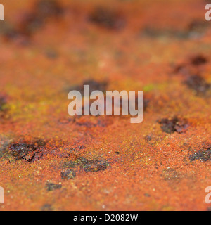 detail of rusty iron surface Stock Photo