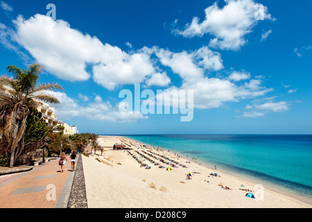 Beach and seaside promenade, Playa del Matorral, Morro Jable, Jandia peninsula, Fuerteventura, Canary Islands, Spain Stock Photo