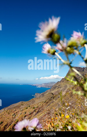 Westcoast mountains, Gran Canaria, Canary Islands, Spain
