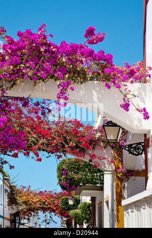 Houses with flowers, Puerto de Mogan, Gran Canaria, Canary Islands, Spain, Europe Stock Photo