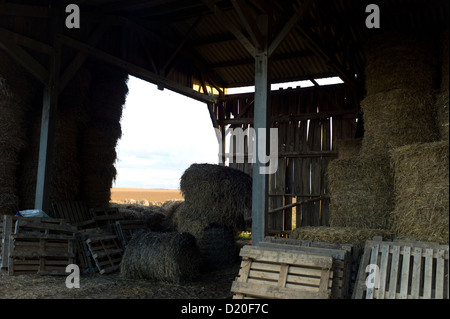 Old wooden barn and haybales, dusk, Normandy, France Stock Photo