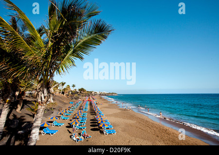 Beach Playa Blanca, Puerto del Carmen, Lanzarote, Canary Islands, Spain, Europe Stock Photo