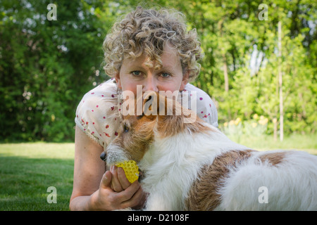 Jack Russell Dog Playing With Curly-Haired Woman Stock Photo