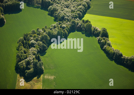 Aerial photo of green and yellow agricultural fields and forest, near Lillestrøm, Akershus, Norway, Scandinavia.