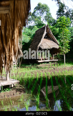 Traditional architecture Sundanese Gazebo bamboo,with paddy fields The roof  were made of leaves from a coconut tree. Stock Photo