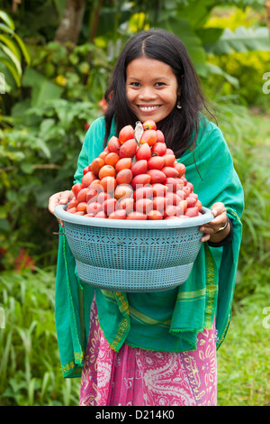 South-east asian woman carrying a basket of red fruit Stock Photo