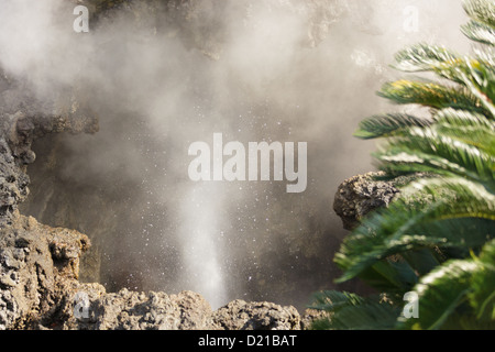 Hot spring water steam coming from rocks, Atami, Japan Stock Photo