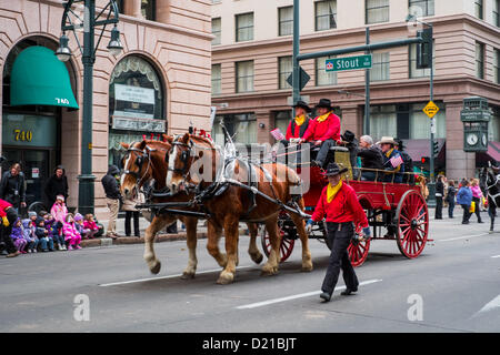 Denver kicks off the 107th Annual National Western Stock show on January 10, 2013 with a parade that travels from Union Station to the Wells Fargo building on 17th Street.  The National Western Stock Show is considered the Super Bowl of live stock shows. Stock Photo