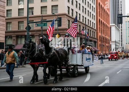 Denver kicks off the 107th Annual National Western Stock show on January 10, 2013 with a parade that travels from Union Station to the Wells Fargo building on 17th Street.  The National Western Stock Show is considered the Super Bowl of live stock shows. Stock Photo