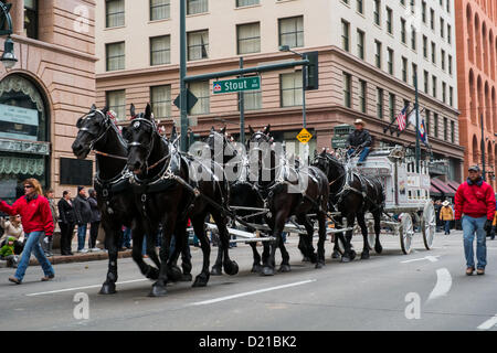 Denver kicks off the 107th Annual National Western Stock show on January 10, 2013 with a parade that travels from Union Station to the Wells Fargo building on 17th Street.  The National Western Stock Show is considered the Super Bowl of live stock shows. Stock Photo