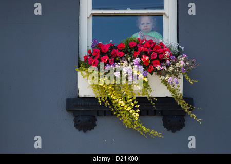 Young boy looks out window of Ship &amp;amp;amp, Crown Pub, St Peter Port, Channel Islands, England, British Crown Dependencies Stock Photo