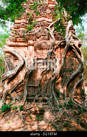 The pre-Angkorian ruins of Sambor Prei Kuk and Prasat Yeay Peau near Kompong Thom in Cambodia, Indochina. Stock Photo