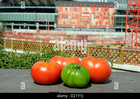 One green and three red Marmande tomatos on old slate with Arsenal's Emirates Stadium in the background Holloway Highbury UK Stock Photo