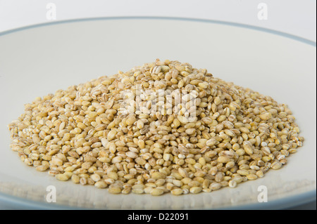 pearl barley Stock Photo