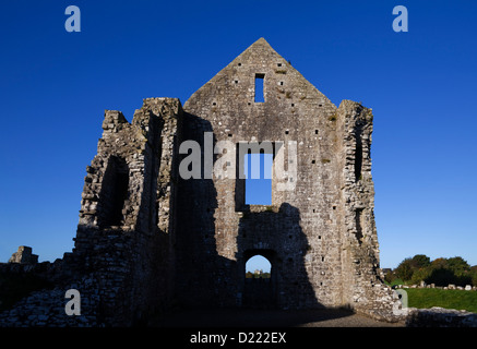 The western gabled wall in the ruins of 13th Century Newtown Cathedral, with Trim Castle visible through the door, Trim, County Meath, Ireland Stock Photo