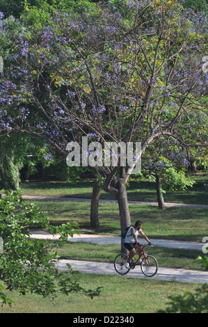 Valencia, Spain: Jardí del Túria Stock Photo