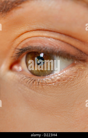 Woman's eye close up Stock Photo