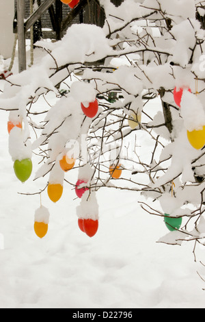 colorful easter eggs decoration outdoor in snow with daffodils Stock Photo