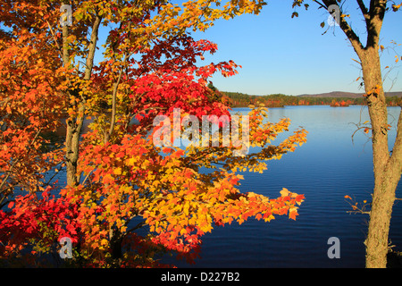 Megunticook Lake, Camden, Maine, USA Stock Photo