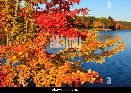 Megunticook Lake, Camden, Maine, USA Stock Photo