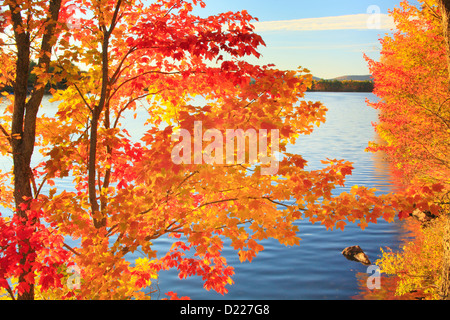 Megunticook Lake, Camden, Maine, USA Stock Photo