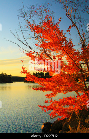 Megunticook Lake, Camden, Maine, USA Stock Photo