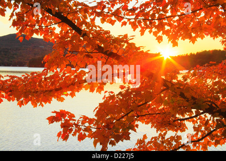 Megunticook Lake, Camden, Maine, USA Stock Photo