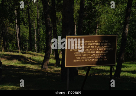 Sunny pine trees view gold brown Chinese immigrants burials information sign, Mount Moriah Cemetery, Deadwood, South Dakota, USA Stock Photo