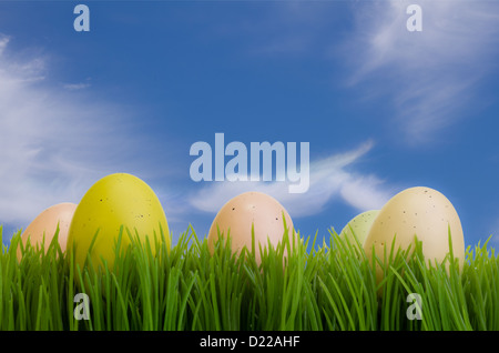 Colorful Easter eggs on green grass against blue sky Stock Photo