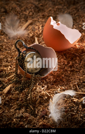 Small vintage clock in broken egg laying on sawdust and feathers Stock Photo