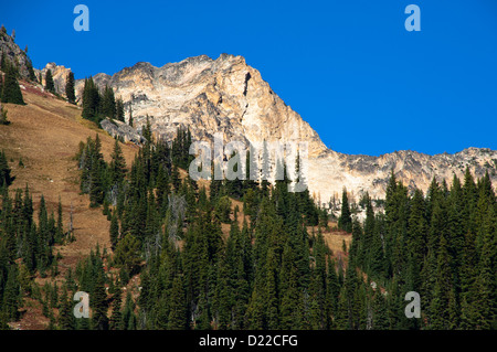 Granite peaks above the North Cascades Highway, Okanogan-Wenatchee National Forest, Washington, USA Stock Photo