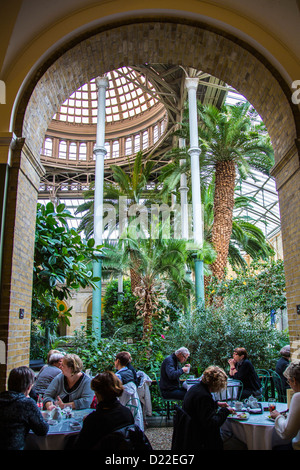Conservatory in the historical art museum 'Ny Carlsberg Glyptotek', café,  Copenhagen, Denmark, Europe