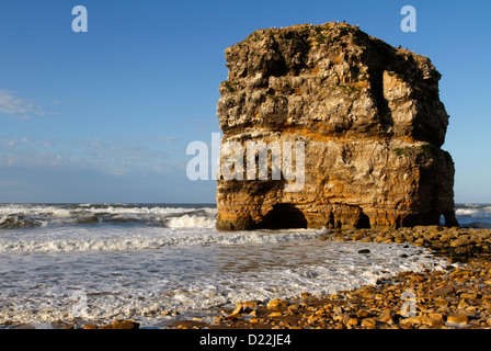 Marsden Rock, a rock formation in the North Sea at Marsden Bay, South Shields, Tyne and Wear, England, UK Stock Photo