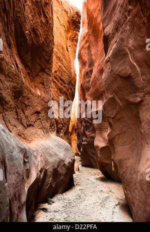 dry fork slot canyon, grand staircase national monument, escalante, utah, usa