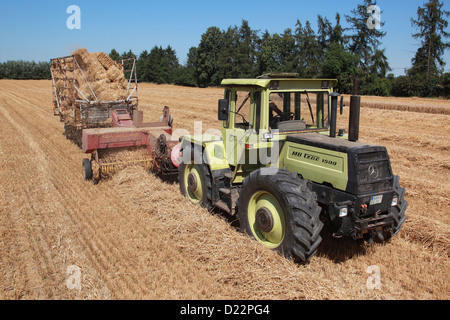 Hamm, Germany, straw harvest with an old baler Stock Photo