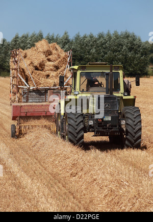 Hamm, Germany, straw harvest with an old baler Stock Photo