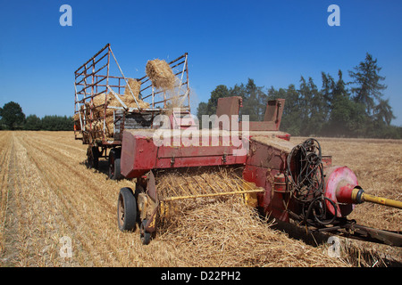 Hamm, Germany, straw harvest with an old baler Stock Photo