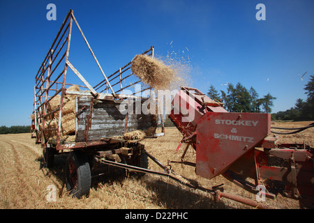 Hamm, Germany, straw harvest with an old baler Stock Photo